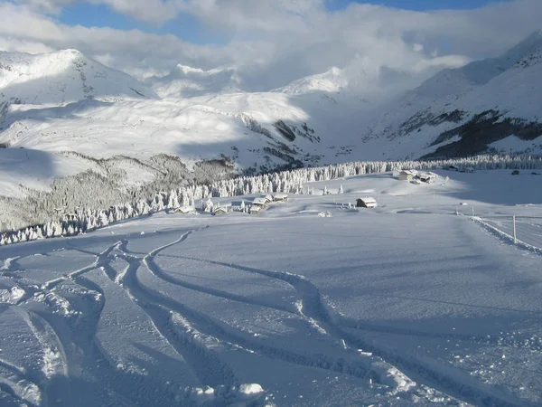 Paisaje Encantado Después Fuertes Nevadas —  Fotos de Stock