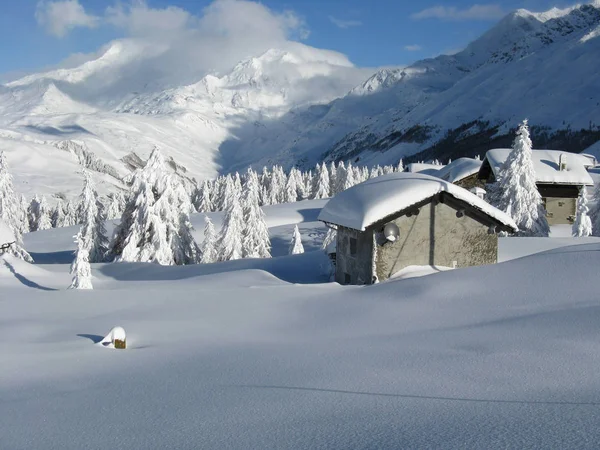 Paysage Enchanté Après Fortes Chutes Neige — Photo