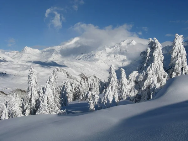 Paisaje Encantado Después Fuertes Nevadas —  Fotos de Stock