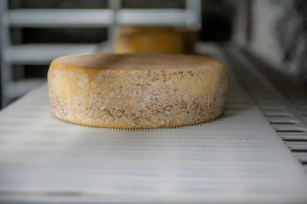 Assaisonnement Fromage Dans Mine — Photo