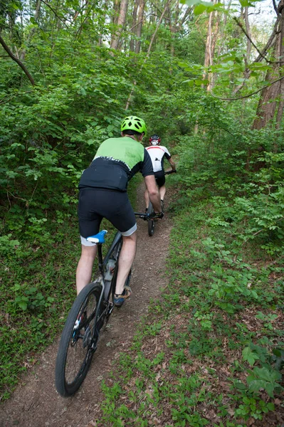 stock image Cycling through the paths in the woods