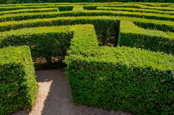 Garden Trees Create Maze — Stock Photo, Image