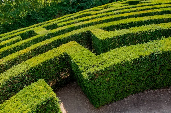 Garden Trees Create Maze — Stock Photo, Image