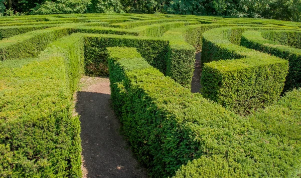 garden with trees that create maze