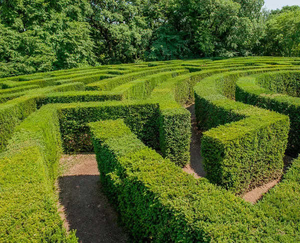 garden with trees that create maze