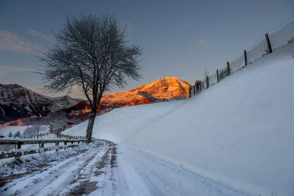 Estrada Nevada Com Árvore Pôr Sol — Fotografia de Stock