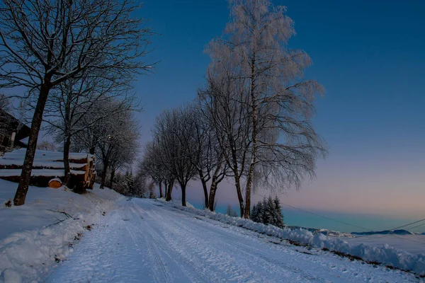 Estrada Nevada Com Árvore Pôr Sol — Fotografia de Stock