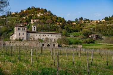 bergamo tepelerde bahar bağ
