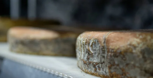 鉱山のチーズの調味料 — ストック写真