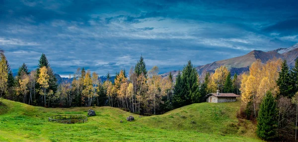 Bauernhaus Mit Teichbäumen Und Wiese Herbst — Stockfoto