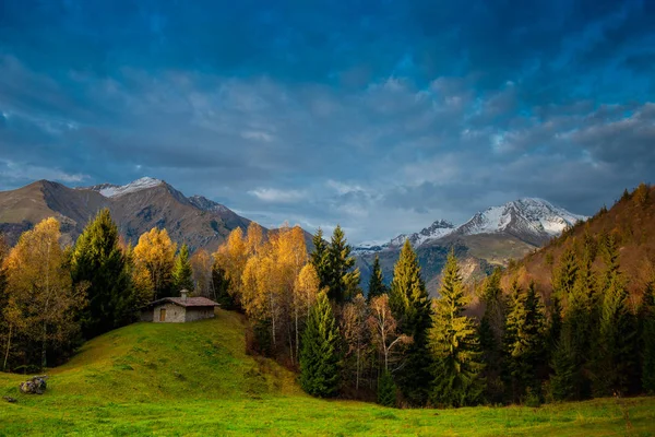 Bauernhaus Mit Teichbäumen Und Wiese Herbst — Stockfoto