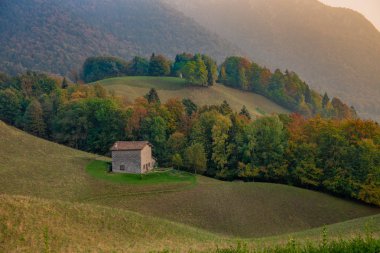 Sonbaharda ağaçlarıyla çevrili çiftlik evi