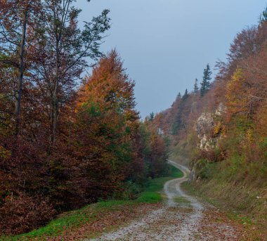 Sonbaharda toprak yol