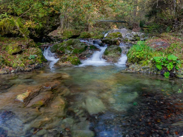 Corriente Con Agua Pura Bosque Otoño — Foto de Stock