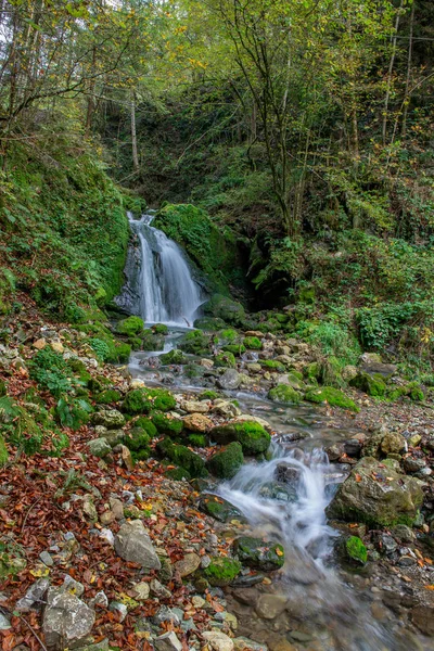 滝と森の中の川 — ストック写真