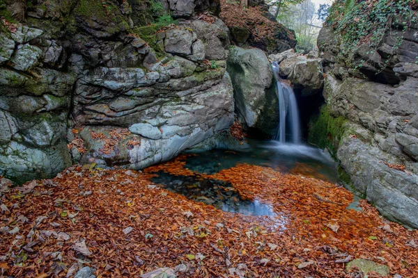 Corriente Con Agua Pura Bosque Otoño — Foto de Stock