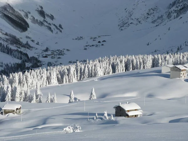 Paysage Enchanté Après Fortes Chutes Neige — Photo