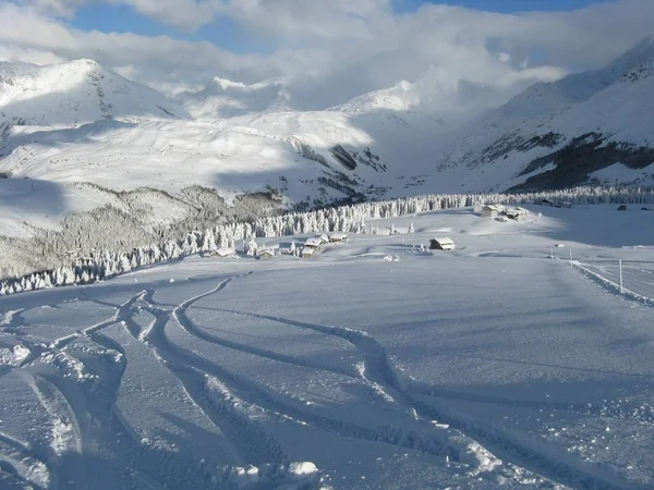 大雪后迷人的风景 — 图库照片