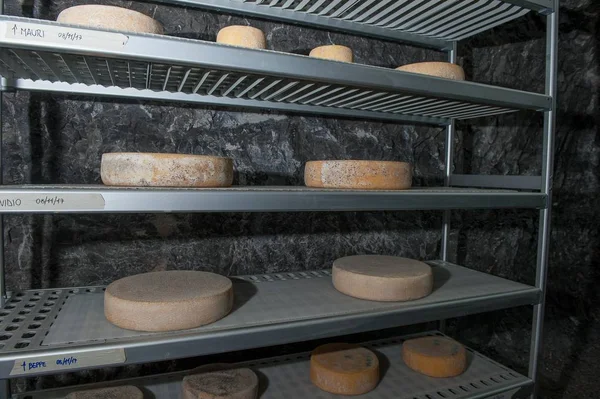 Würzen Von Käse Bergwerk — Stockfoto