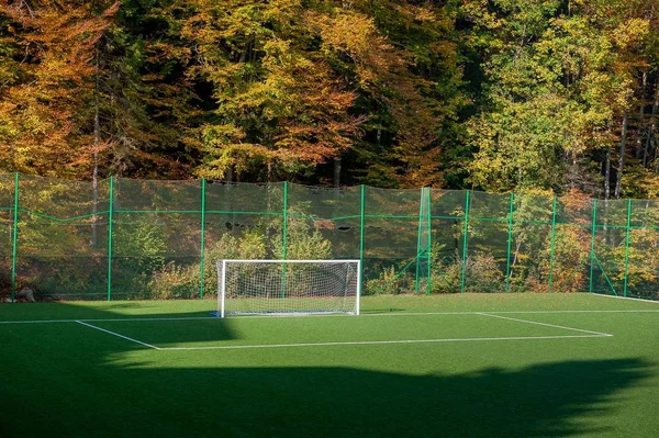 Fotbalové Hřiště Umělým Trávníkem — Stock fotografie