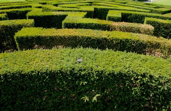 Labyrint Botanické Zahradě — Stock fotografie