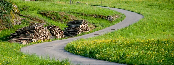 Криві на сільській дорозі з весняними квітами — стокове фото