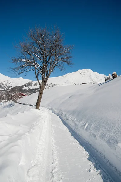 Väg efter kraftig snöfall — Stockfoto