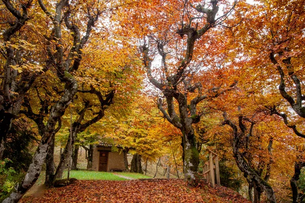 Autum — Φωτογραφία Αρχείου