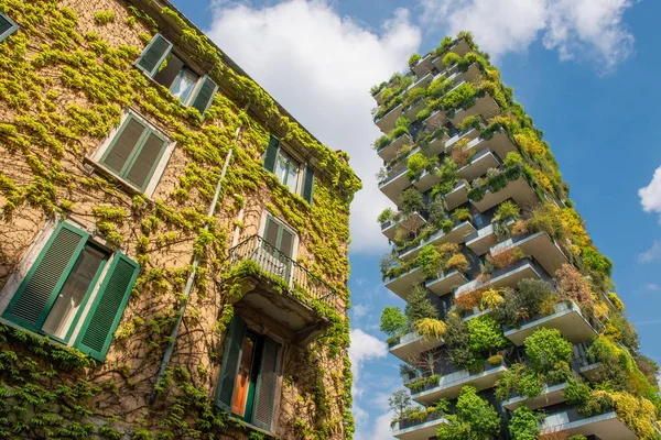 Milaan verticaal bos — Stockfoto