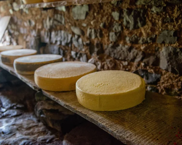 산 목장에 치즈 — 스톡 사진