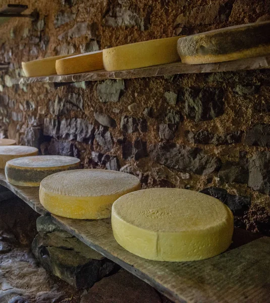 Fromage sur le pâturage — Photo