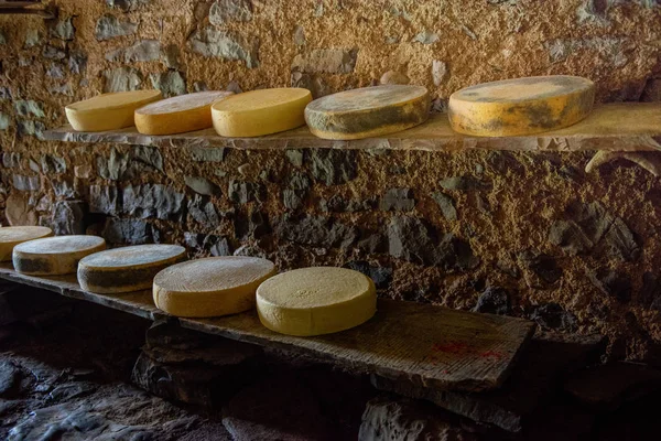 Queijo no pasto da montanha — Fotografia de Stock