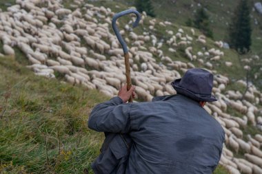 Çoban