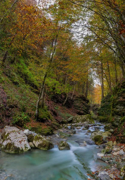 Río de montaña — Foto de Stock