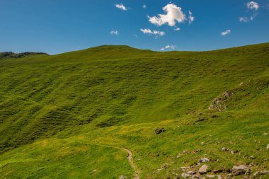 Otlakların arasındaki dağ yolu
