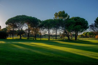 Ağaçlı ve göletli golf sahası