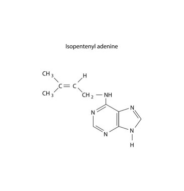 İzopentenil adenin moleküler yapısı, sitokinin bileşik iskelet formülü. Basit şematik çizim.