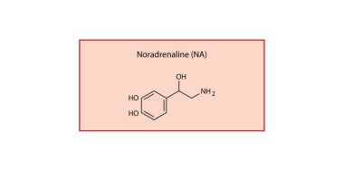 Noradrenaline aldehyde skeletal structure. Reactive intermediate (aldehyde from NA) compound schematic illustration. Simple diagram, chemical formula.