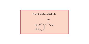 Noradrenaline aldehyde skeletal structure. Reactive intermediate (aldehyde from NA) compound schematic illustration. Simple diagram, chemical formula.