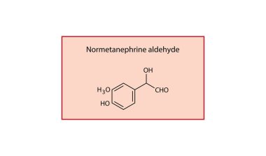 Normetanephrine aldehyde skeletal structure. Oxidative intermediate of normetanephrine compound schematic illustration. Simple diagram, chemical formula.