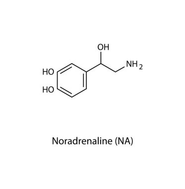 Normetanephrine (NM) skeletal structure. Methylated metabolite of noradrenaline compound schematic illustration. Simple diagram, chemical formula.
