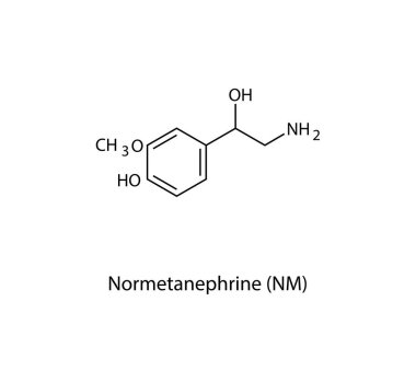 Normetanephrine (NM) skeletal structure. Methylated metabolite of noradrenaline compound schematic illustration. Simple diagram, chemical formula.