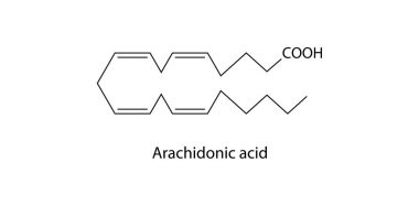 Arachidonik asit molekül moleküler yapısı, yağ asidi bileşik iskelet formülü, basit diyagram çizimi