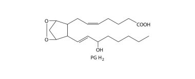 Prostaglandin h 2 'nin kimyasal yapısı (pgh 2), iltihap, acı ve kan pıhtılaşmasına bağlı lipidlerin sinyallerini veren eikosanoid biyosentezinin önemli, kısa ömürlü ara molekülüdür.