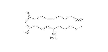 Kimyasal yapı diyagramı prostaglandin e2 molekül bağlarını gösteriyor.