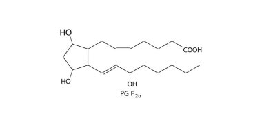 Hidroksil gruplu prostaglandin molekülünü gösteren kimyasal yapı diyagramı