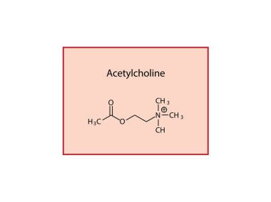 Simple graphic of chemical formula representation - acetylcholine