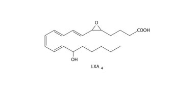 Kimyasal yapı diyagramı linoleik asit molekülünün atomları birbirine bağladığını gösteriyor
