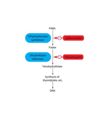 Kimyasal formülü gösteren modern grafik - Paba 'dan DNA' ya