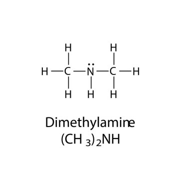 Vector illustration of the chemical structure for Dimethylamine.
